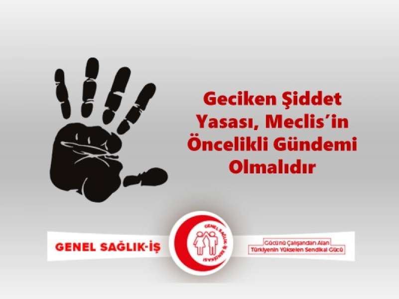 Geciken Şiddet Yasası, Meclis’in Öncelikli Gündemi Olmalıdır