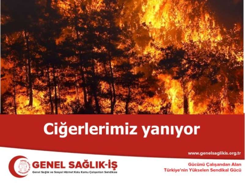 Ciğerlerimiz yanıyor