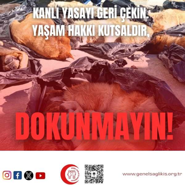 MASUM CANLARIMIZDAN ELİNİZİ ÇEKİN, VAR OLAN GÜCÜNÜZÜ TOPLUMSAL BARIŞI SAĞLAMAK İÇİN KULLANIN!