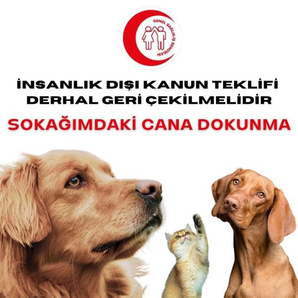 İnsanlık Dışı Kanun Teklifi Derhal Geri Çekilmelidir! Sokağımdaki Cana Dokunma!